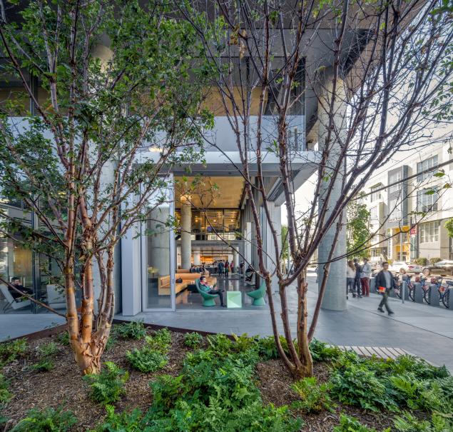505 Brannan